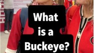 What is a Buckeye? Hoosier fans have various answers