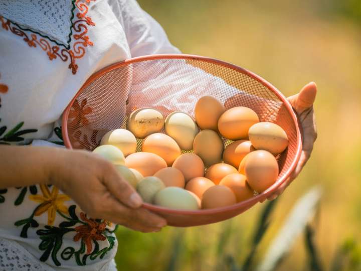 Huevo colombiano llegará a EE.UU.: aprobado ingreso de huevos para quebrar