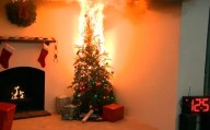 Hombre y su perro murieron tras incendiarse su arbolito de Navidad