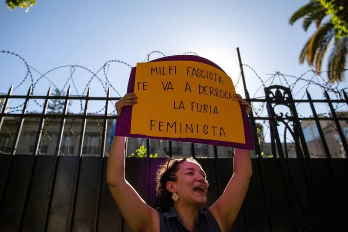 «Profunda preocupación» | Feministas federales denuncian retrocesos en derechos y democracia a dos años del gobierno de Milei