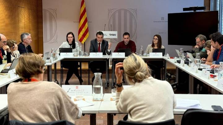 El Govern confirma los 13 casos positivos de peste porcina en Cataluña