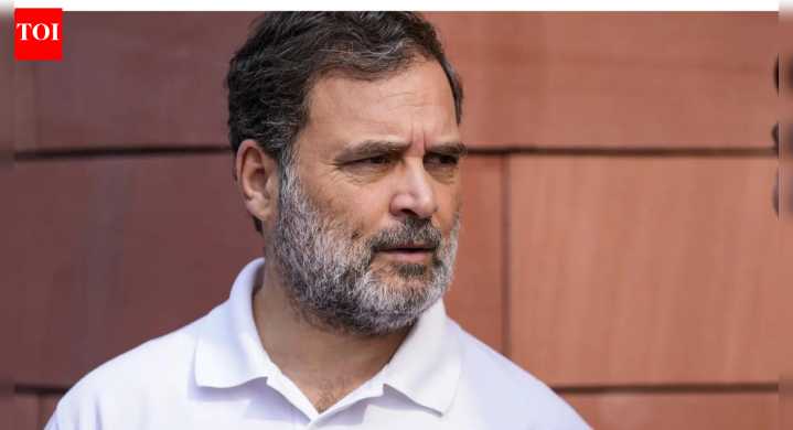 'Discretion of delegation': Government counters Rahul Gandhi on LoP–visitor meetings claim; names dignitaries who met him