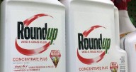 Study that said glyphosate herbicide is safe retracted 25 years after publication