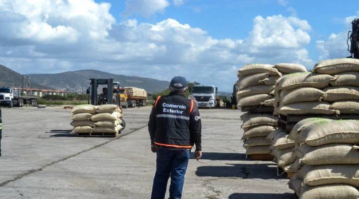 Venezuela exportó 161 toneladas de café verde a los EEUU