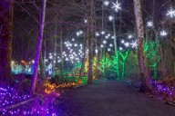 Drive Through Holiday Magic At Aurora's Festival Of Lights