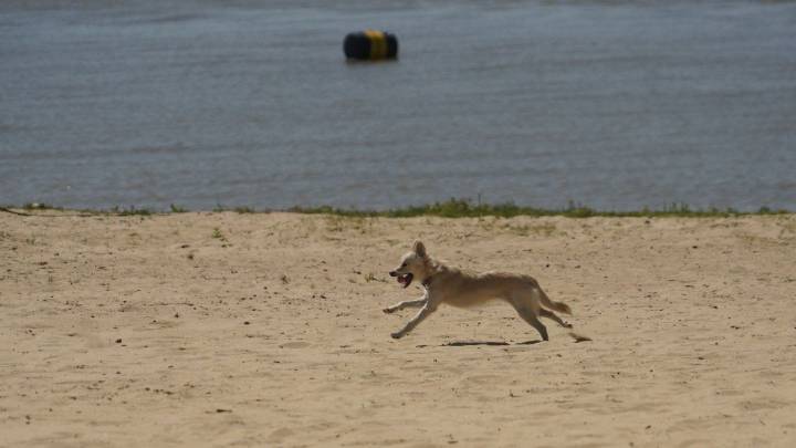 El tiempo en Rosario: viernes con calor, pocas nubes, ¿y finalmente sin lluvias?