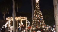 ¡Navidad mazatleca! Encienden pino y luces en la plazuela Machado