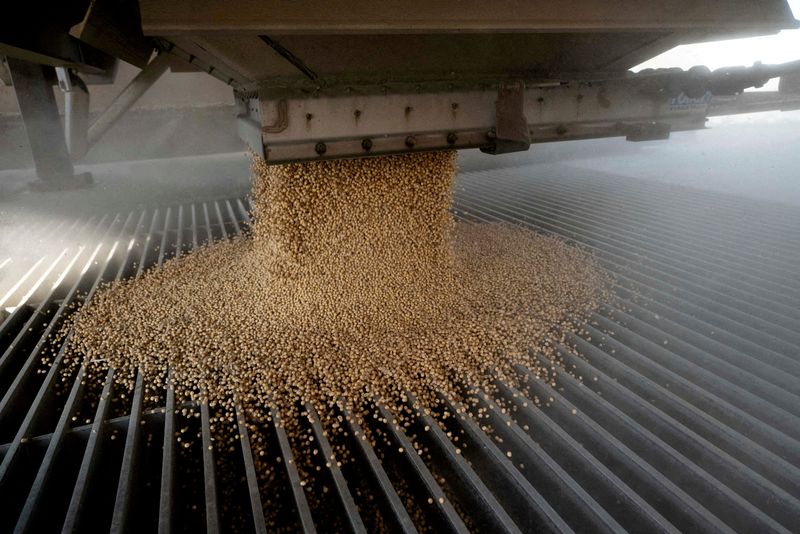 USDA leaves US soybean export outlook unchanged after China sales resume