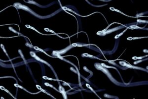 At least 197 children were fathered by sperm donor with cancer-causing gene. Some have already died.
