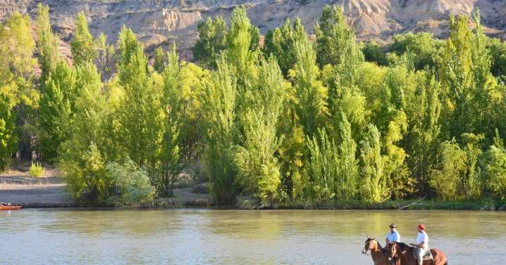 Pronóstico para diciembre 2025: temperaturas por encima de lo normal y tormentas en fechas clave en Río Negro 