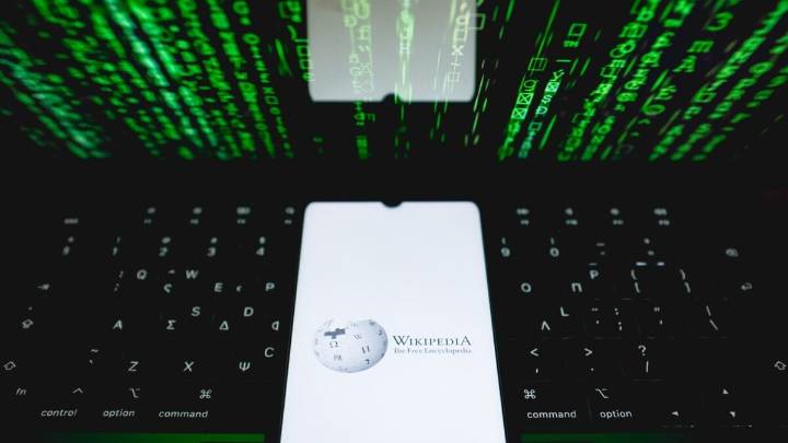 Wikipedia Has Its Own Version of 'Wrapped' Now, But There's One Little Problem