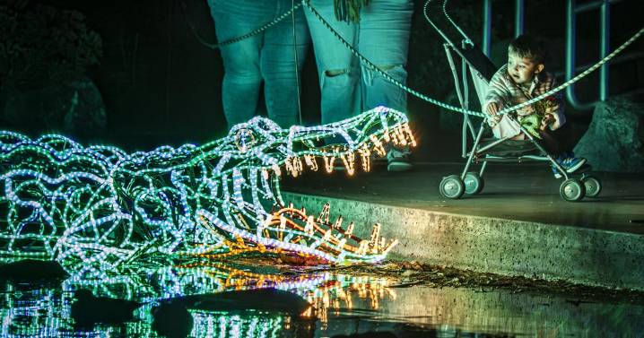 'Just magical': Guests flock to River of Lights as holiday season shifts toward Christmas