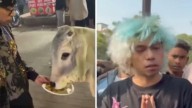 Shocking Video! Gurugram Youth Feeds Chicken Momos To Cow After Being 'Brainwashed Online'; Apologises After Hindu Groups Track Him
