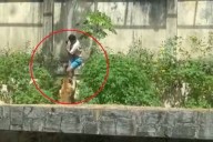 Imágenes sensibles: un joven se metió en la jaula de los leones de un zoológico y fue devorado