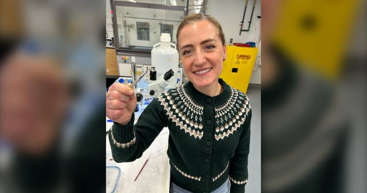 Tick repellent: N.S. researcher's award