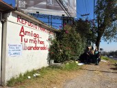 Fundación atiende a miles de perros y gatos desalojados de Refugio Franciscano