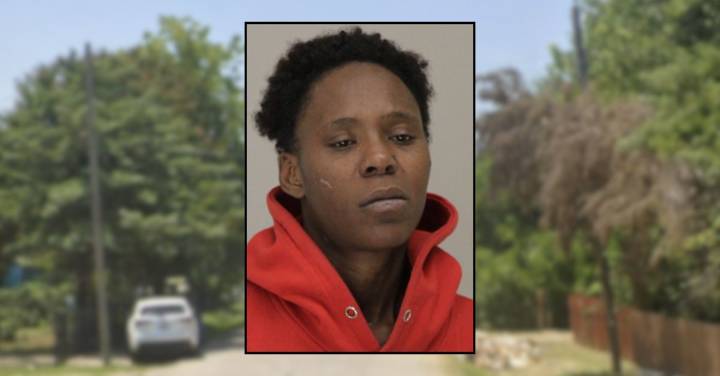 Woman allegedly slashed hoses while firefighters tried to put out house fire she set