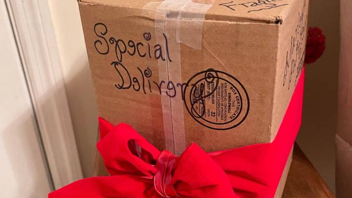 Where’s your Elf on the Shelf? Share your stealthiest…