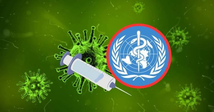Super gripa H3N2: qué dice la OMS sobre el aumento global de casos