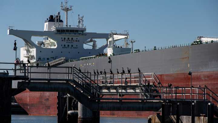 What is the Port of Corpus Christi commission?