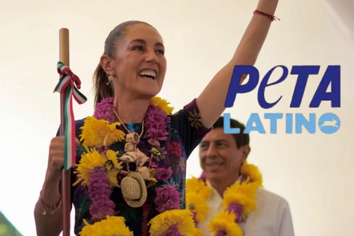 PETA Latino nombra a Claudia Sheinbaum Persona del Año por su impulso a la protección ...