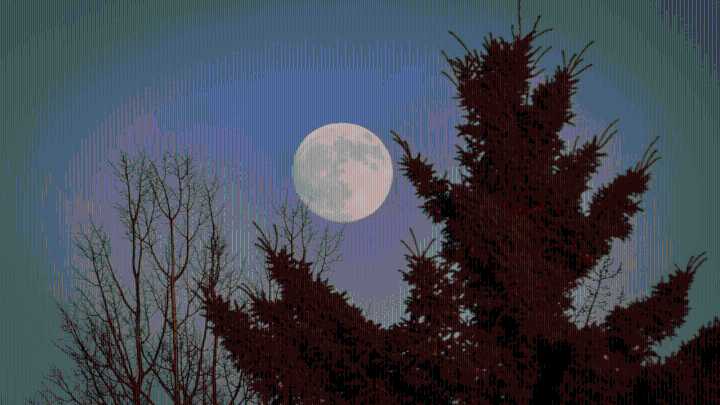 December 2025 supermoon: When and how to watch Cold Moon in India