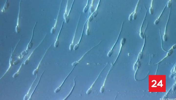 Donante de esperma con gen cancerígeno engendró 197 hijos en 14 países