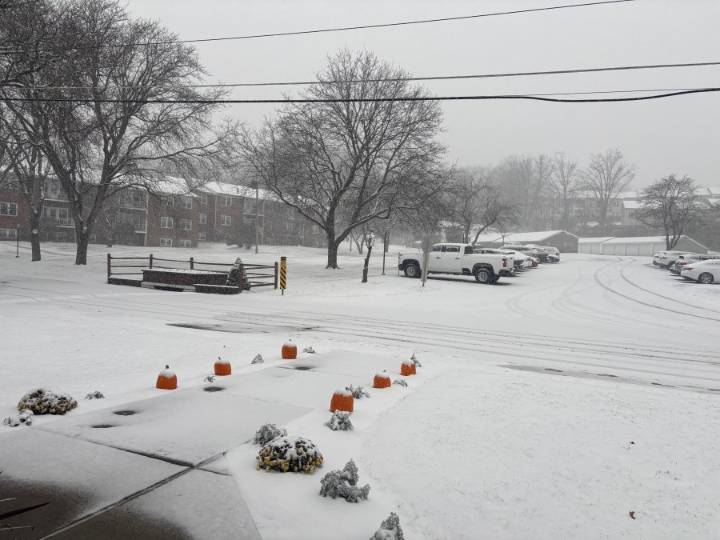 First snowstorm of the season: How much did the Capital Region get on Tuesday?