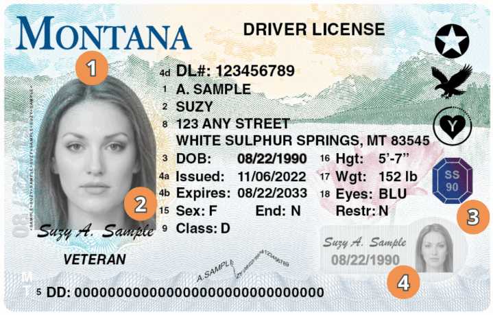 Judge rules Montana DMV discriminated against nonbinary residents, orders changes