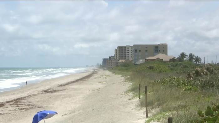 Satellite Beach chews on dog