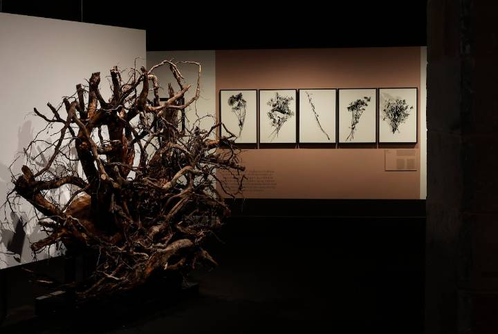 El CCCB rompe los clichés de sensiblera y cursi atribuidos a Mercè Rodoreda