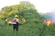 Amazonía en alerta: inicia el trimestre más vulnerable a incendios forestales