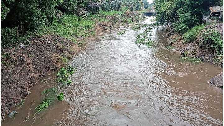 La lluvia no para en Feliciano: ya cayeron más de 200 milímetros de agua