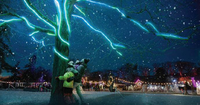 Record Winter Wonders Contest