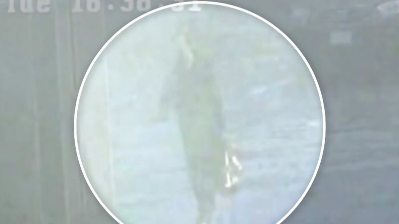 New video shows where Brian Walshe might have disposed of his wife’s body