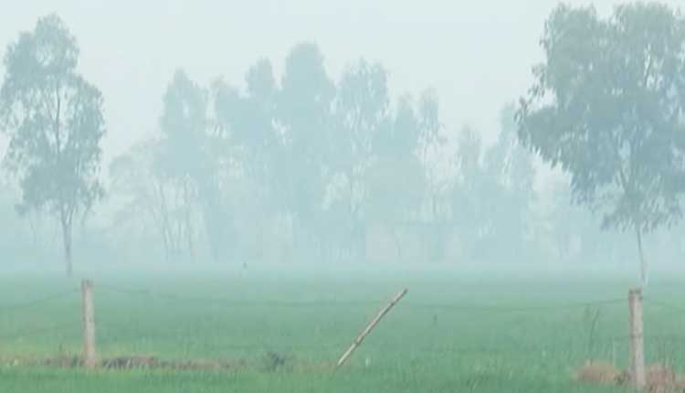 Mercury To Dip Further As Cold Wave Tightens Grip On Odisha