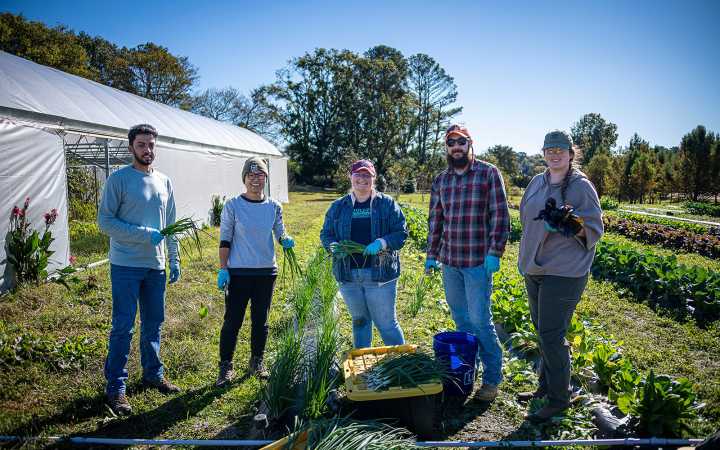 MSU student farm celebrates first harvest, feeds campus community through dining partnership