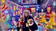 Dazzling holiday display in New Springville doubles as a fundraiser to save animals