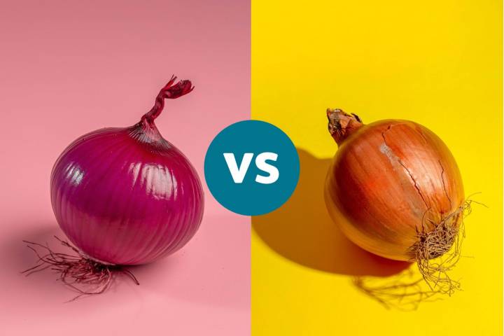 Red Onion vs Yellow Onion: Which Has More Flavonoids?