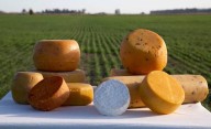 Un queso argentino ganó una medalla en el Mundial de Suiza