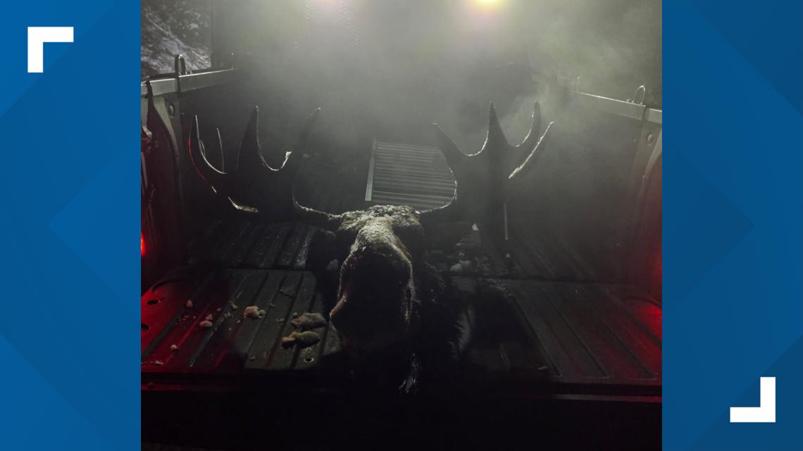 Two Washington men charged with alleged unlawful take and waste of a bull moose in North Idaho