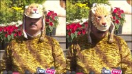 Maharashtra MLA Dons Leopard Costume During Assembly Session