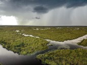 From Vision to Reality: Marking 25 Years of Everglades Restoration