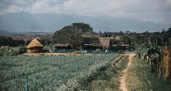 MP News: Phanda Village’s Name To Be Changed To Harihar Nagar, Proposal To Centre Soon