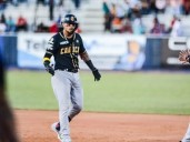 Orlando Arcia se une a Leones del Caracas para el cierre de la LVBP