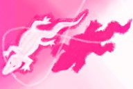 Comic: 13 Ways of Looking at Claude, the Albino Alligator