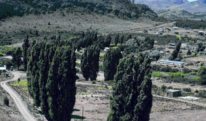 Polémica por lotes sociales en Ñirihuau llegó a Provincia: plantean irregularidades