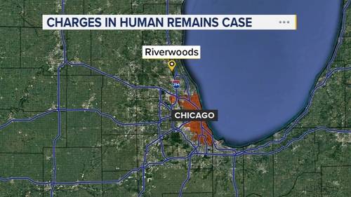 Natalie Schram facing charges 5 years after infant's remains found in Riverwoods, Illinois, police say