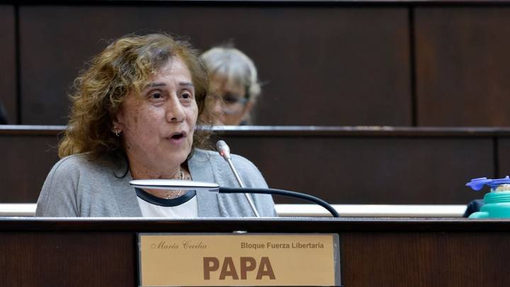 Nueva ruptura en el bloque Fuerza Libertaria de diputados: María Cecilia Papa se suma a Democracia Neuquén
