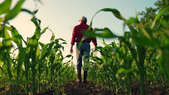 Trump unveils $12 billion bailout for farmers hurt by his tariffs